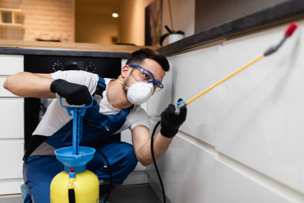 Best Best Pest Control Companies  in Makawao, HI