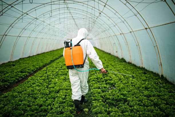 Best Local Pest Control Services  in Makawao, HI