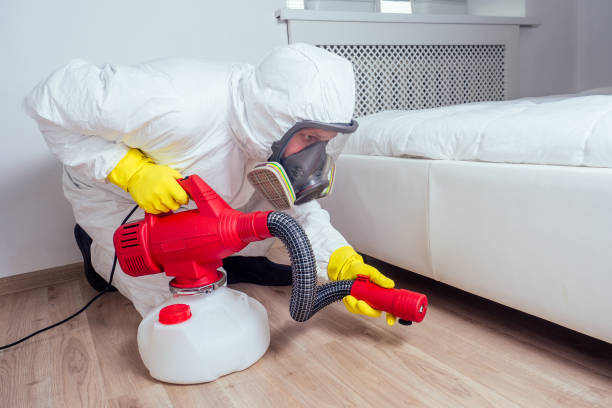 Best Pest Removal Services  in Makawao, HI