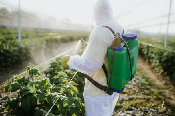 Best Exterminator Services  in Makawao, HI